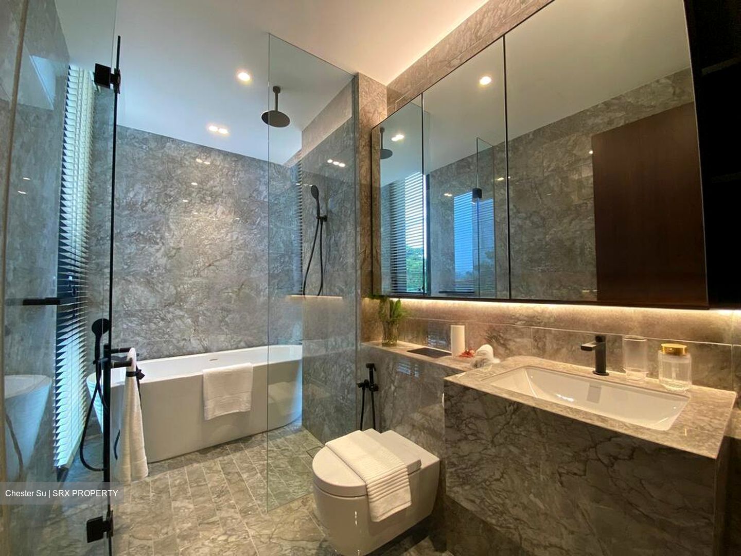 Jervois Privé (D10), Apartment #471706261